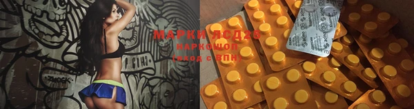 тгк Горняк