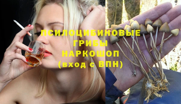 тгк Горняк