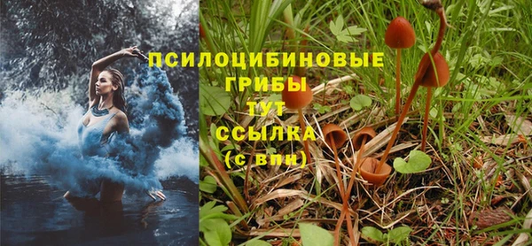 a pvp Горнозаводск