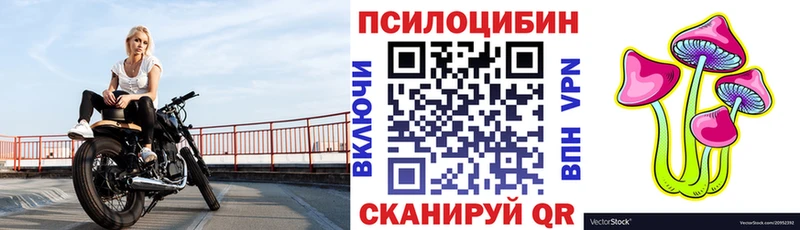 Купить где  Нязепетровск  Галлюциногенные грибы Psilocybine cubensis 